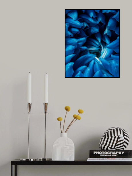 Blue chrysanthemum Poster och Canvastavla