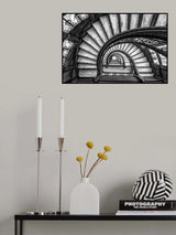 The Rookery Poster och Canvastavla