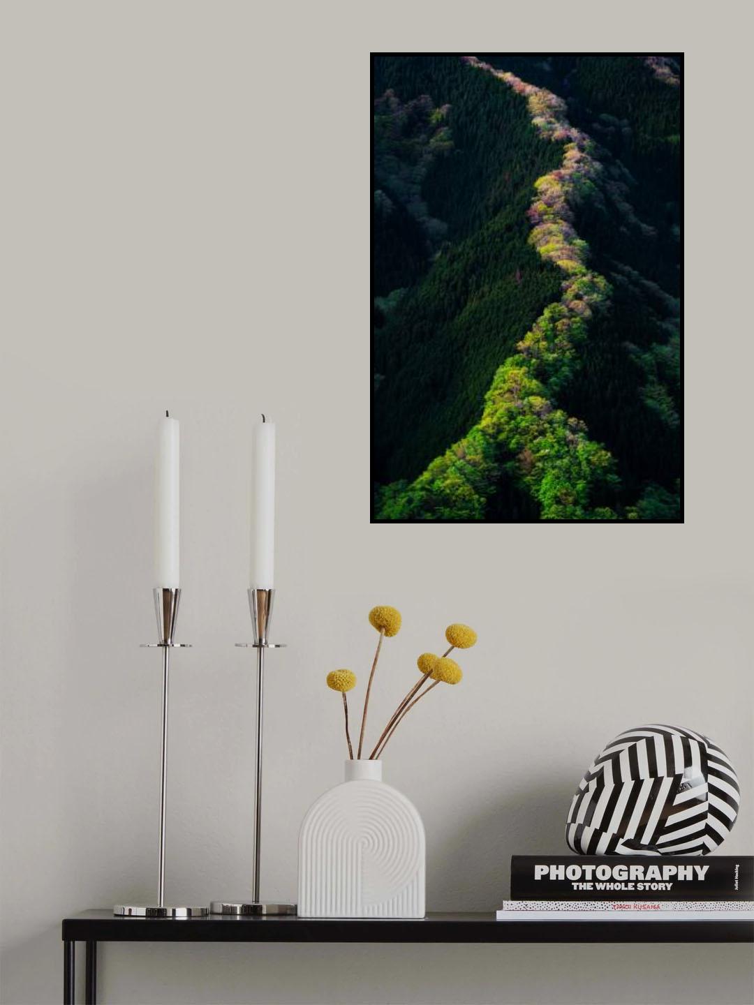 Gradation Poster och Canvastavla