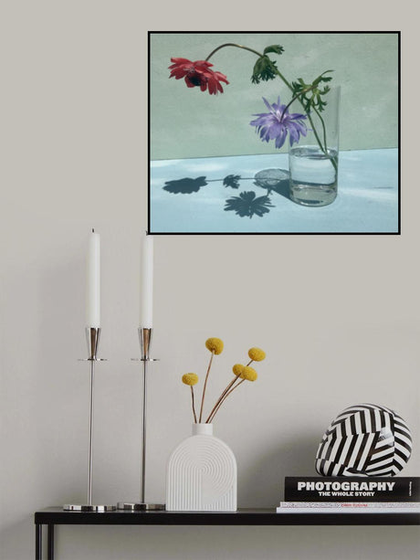 Light &amp; Shadow Poster och Canvastavla