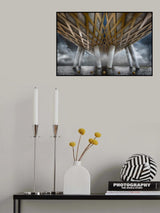 The Endless River Poster och Canvastavla