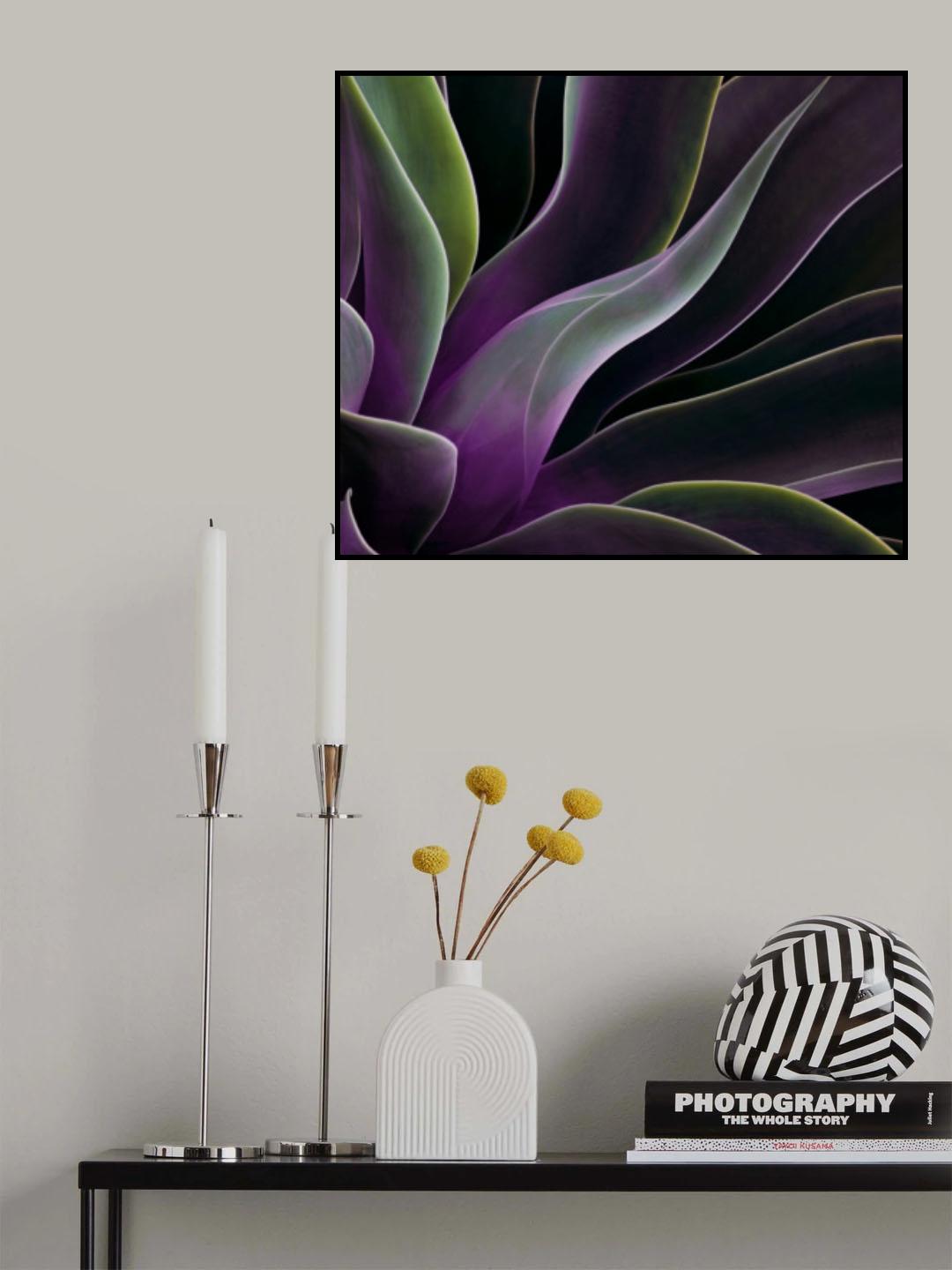 Agave in Summer Poster och Canvastavla