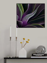 Agave in Summer Poster och Canvastavla