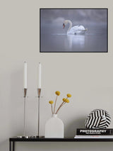 Joy ride Poster och Canvastavla