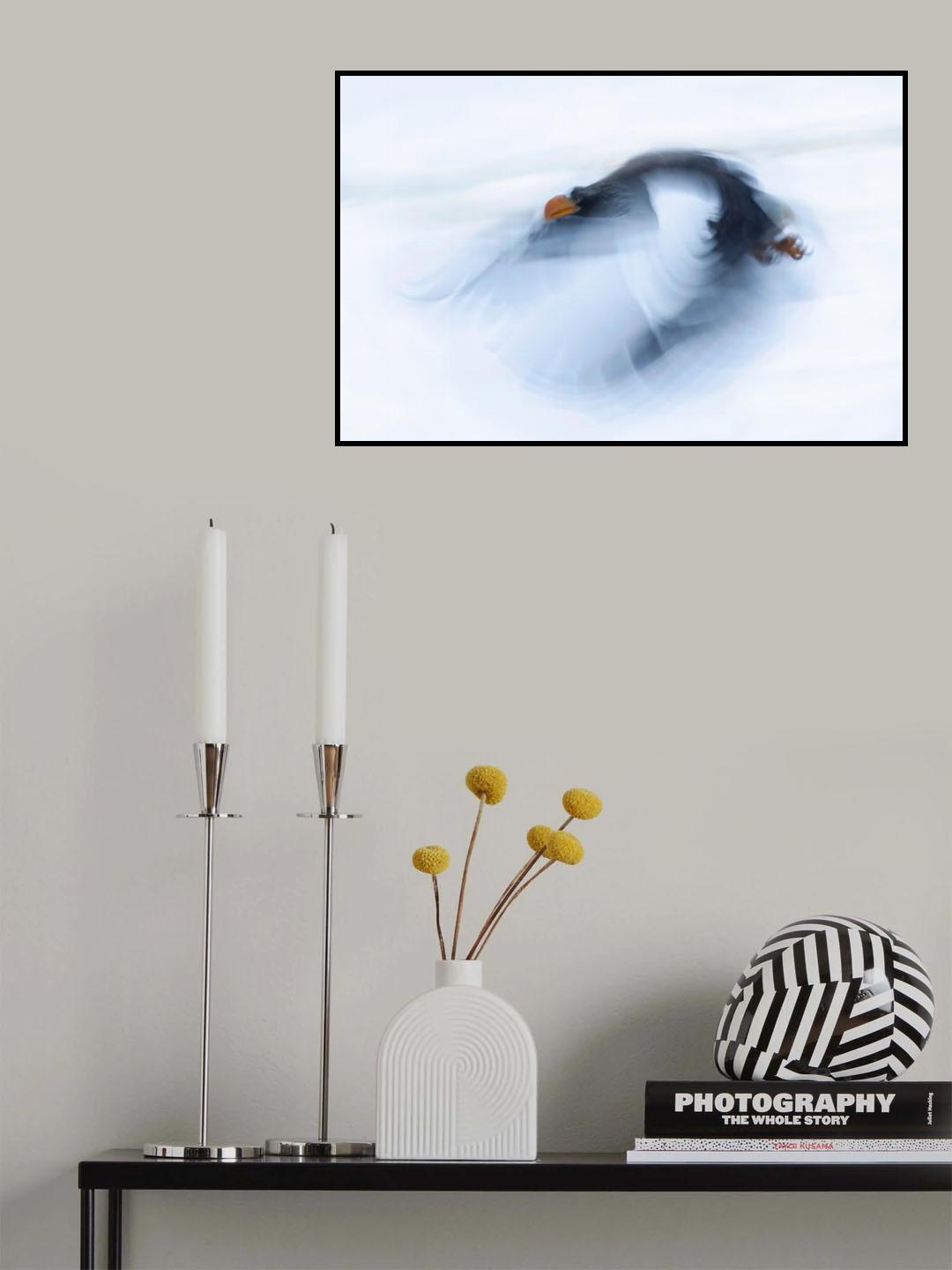 A Mighty bird Poster och Canvastavla