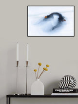 A Mighty bird Poster och Canvastavla