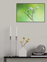 Praying mantis Poster och Canvastavla