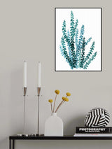 Watercolor eucalyptus branch in teal Poster och Canvastavla