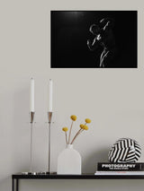 Poster och Canvastavla