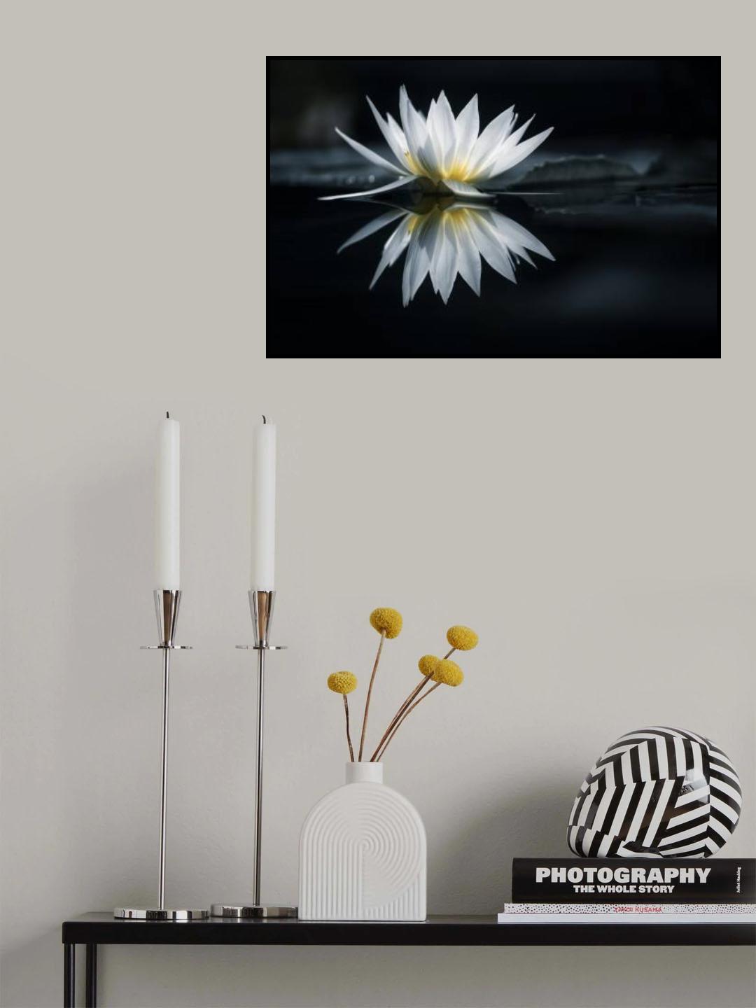 Water mirror Poster och Canvastavla