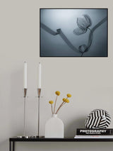 Limber Poster och Canvastavla