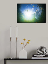 Medusa Aurelia Poster och Canvastavla