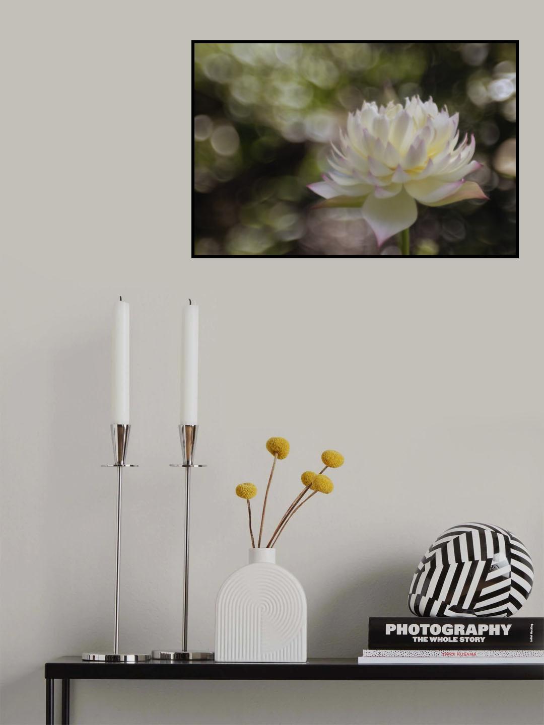 Beautiful Lotus Poster och Canvastavla