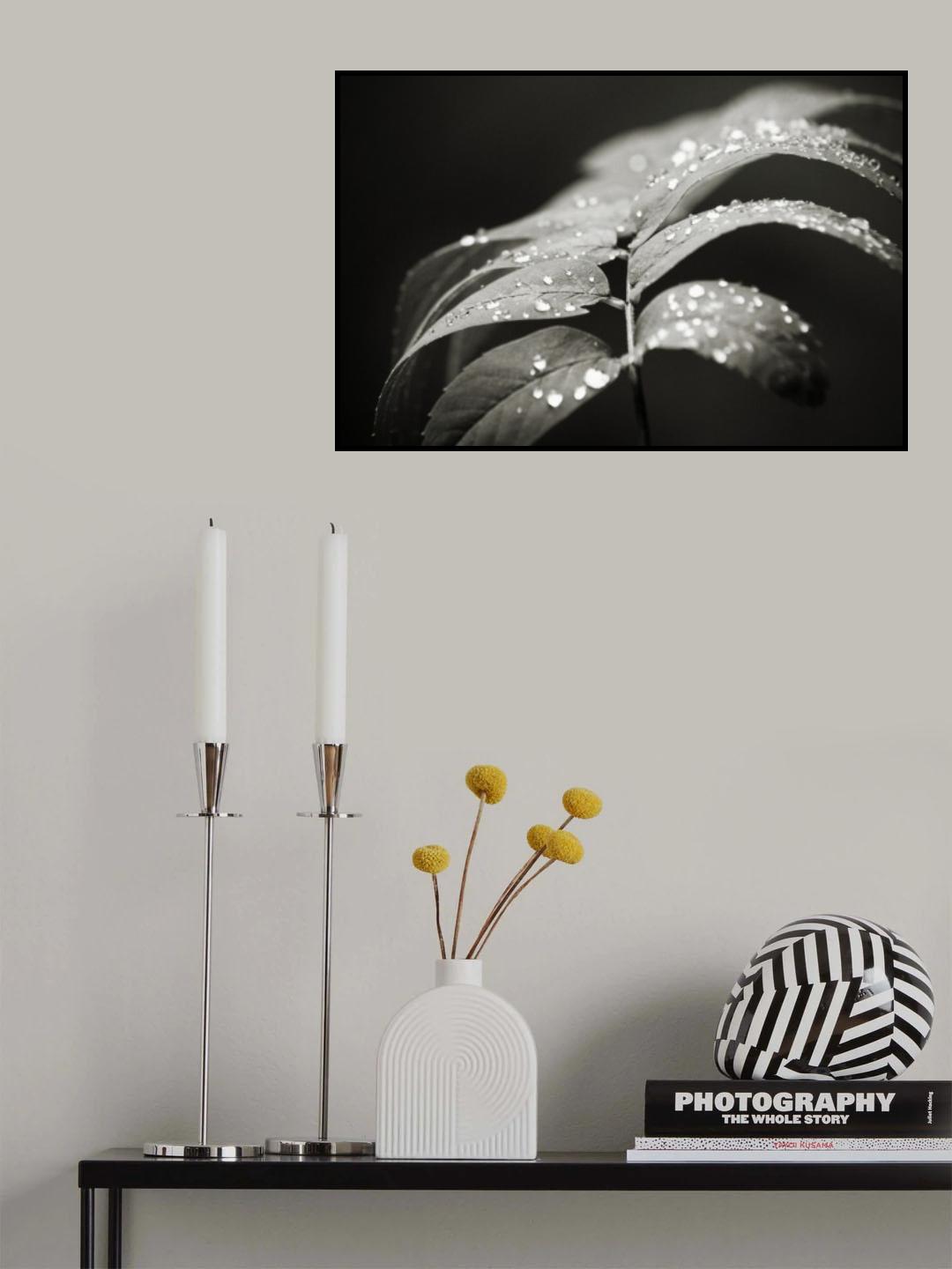 A Diamond Leaf Poster och Canvastavla