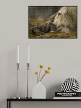 First kiss Poster och Canvastavla