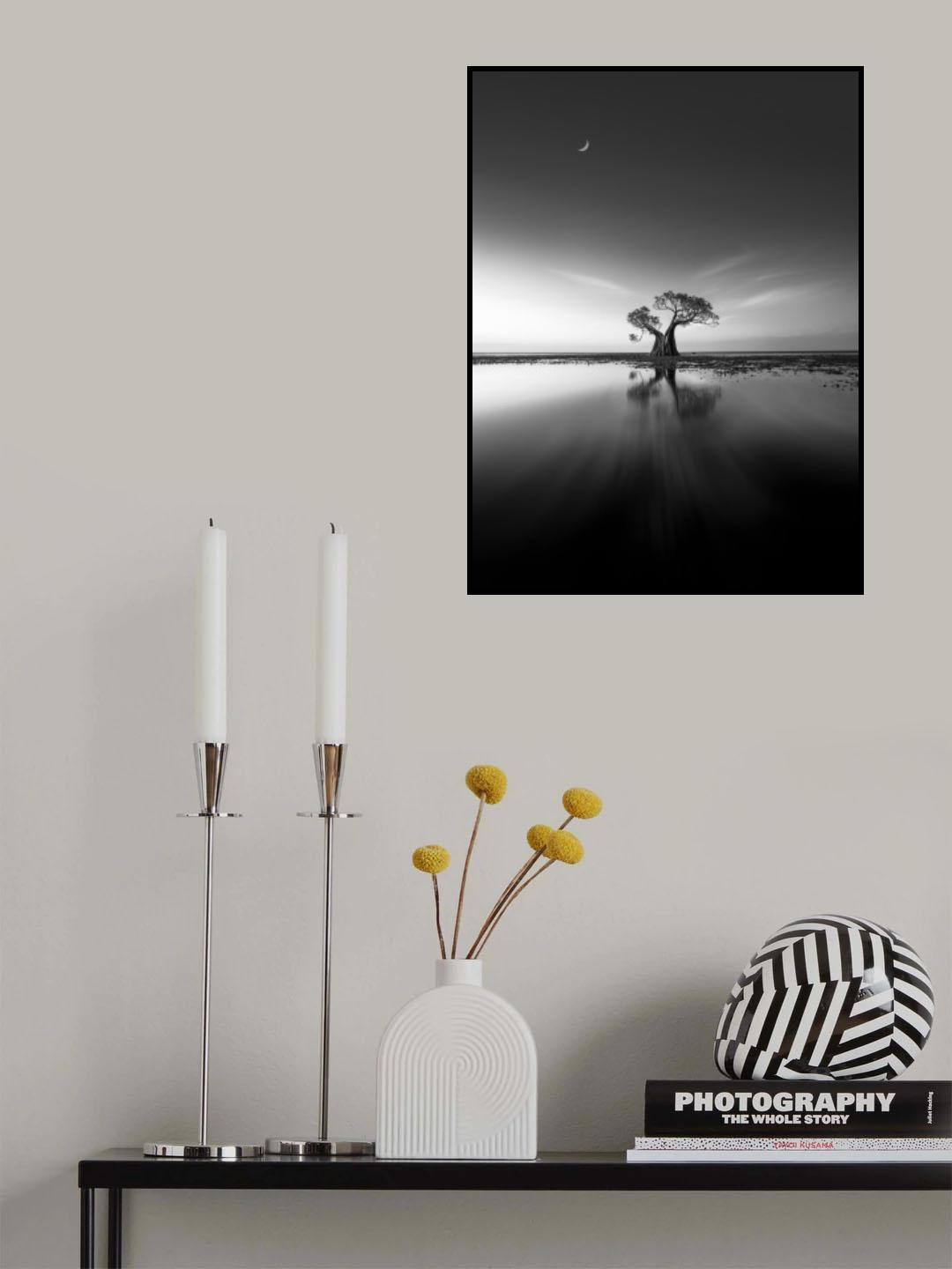 Lonely  Tree Poster och Canvastavla