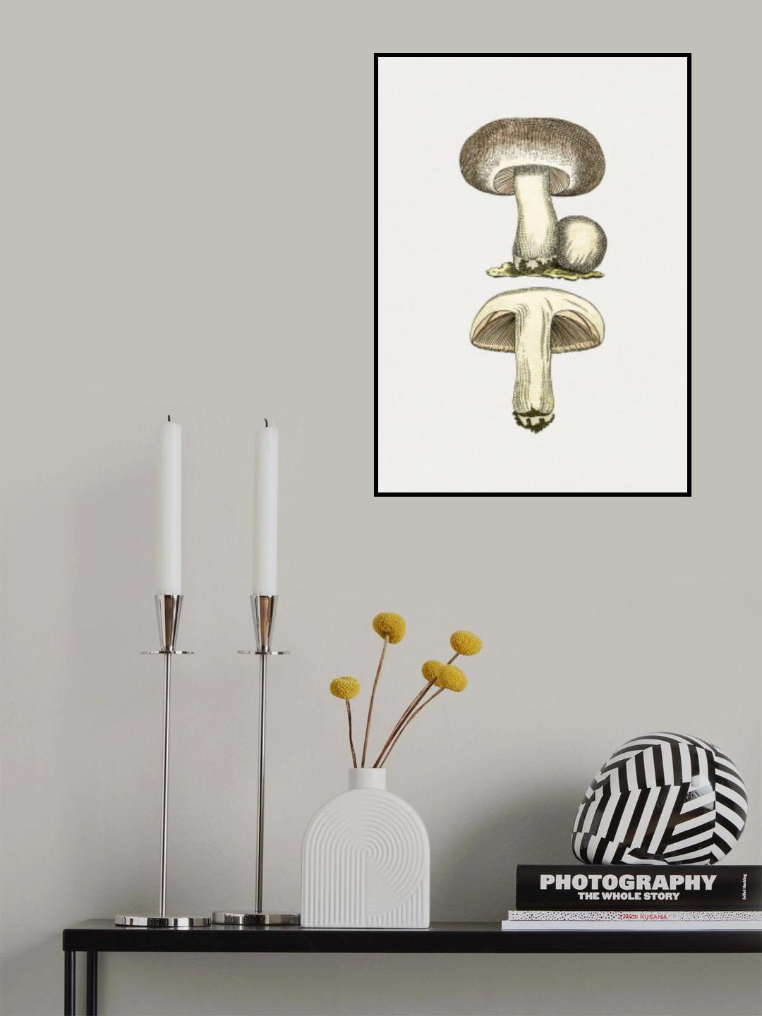Hand Drawn Field Mushroom Gray Poster och Canvastavla