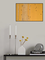 Drying rice under sunlight Poster och Canvastavla