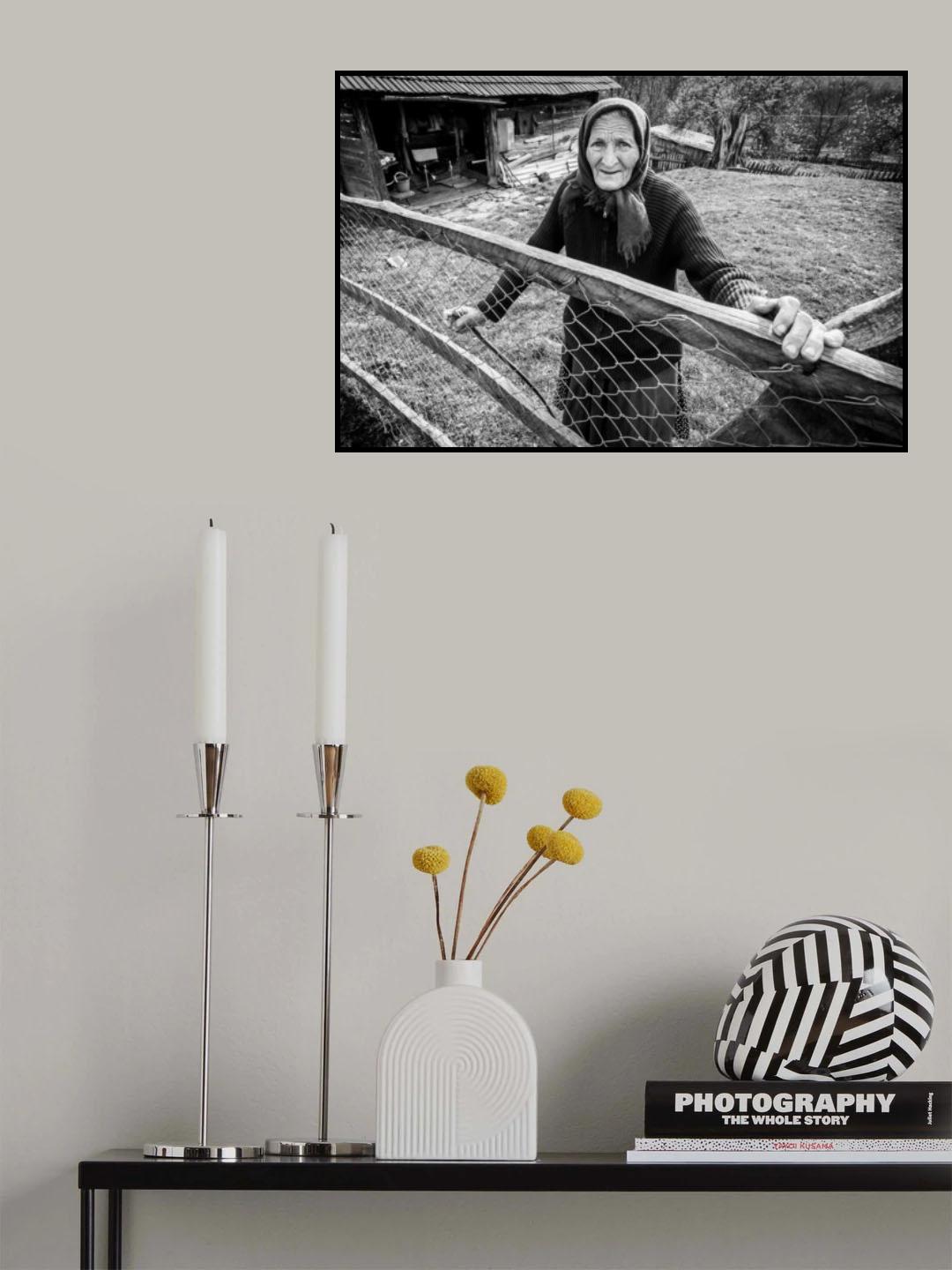 The Grandmother Poster och Canvastavla