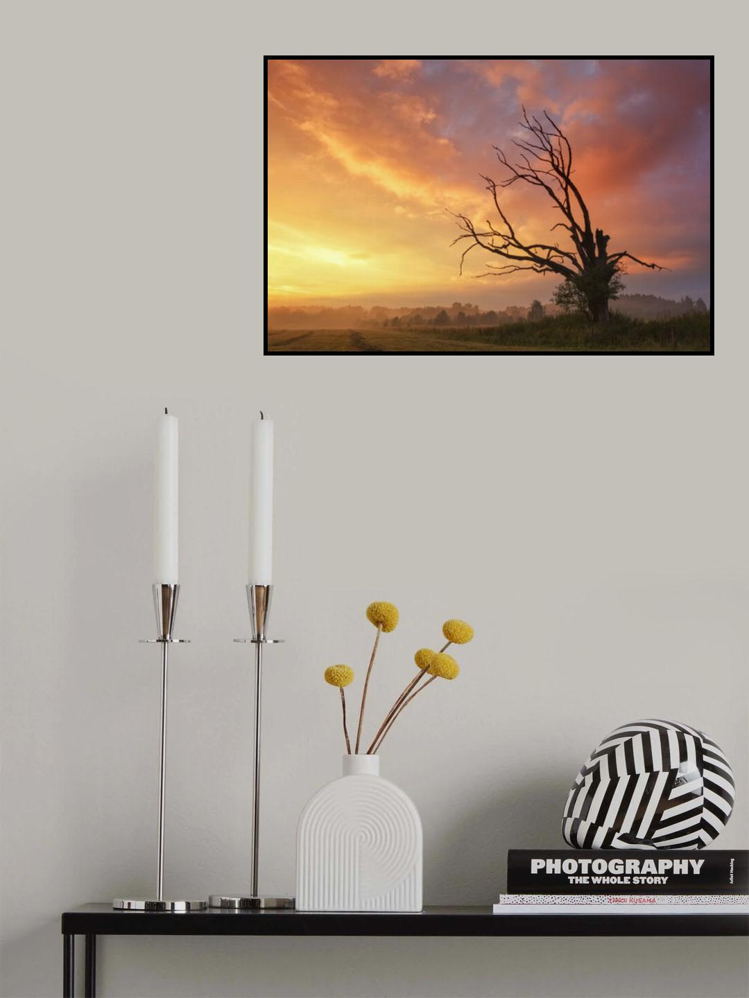 Poster och Canvastavla