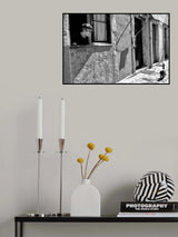 Poster och Canvastavla