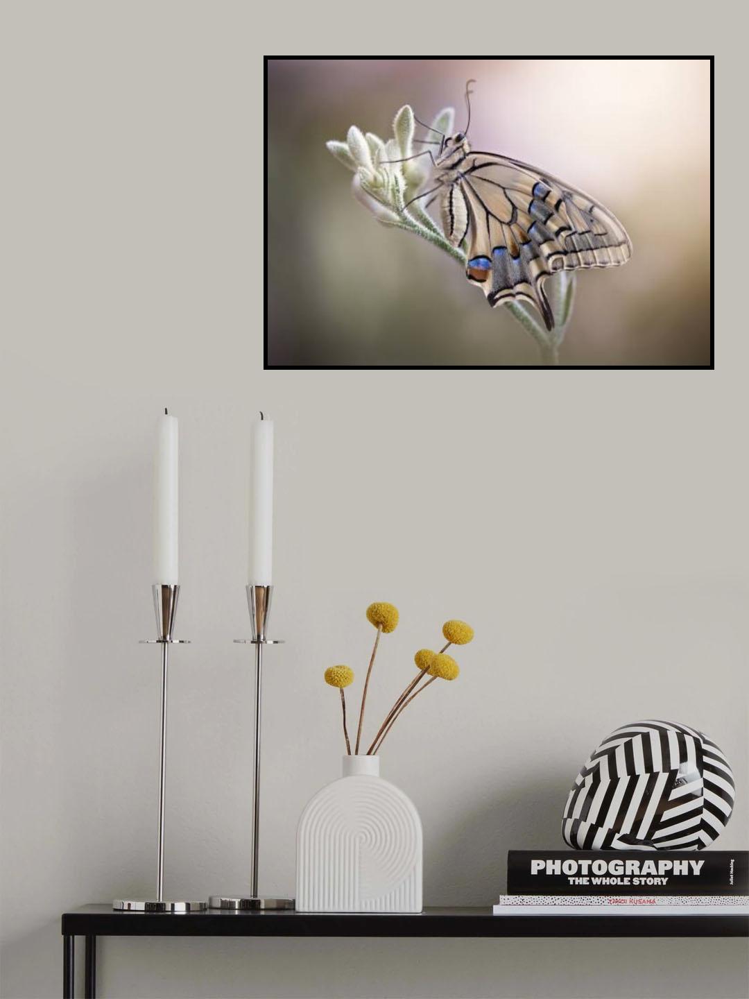 Caressed by the light Poster och Canvastavla