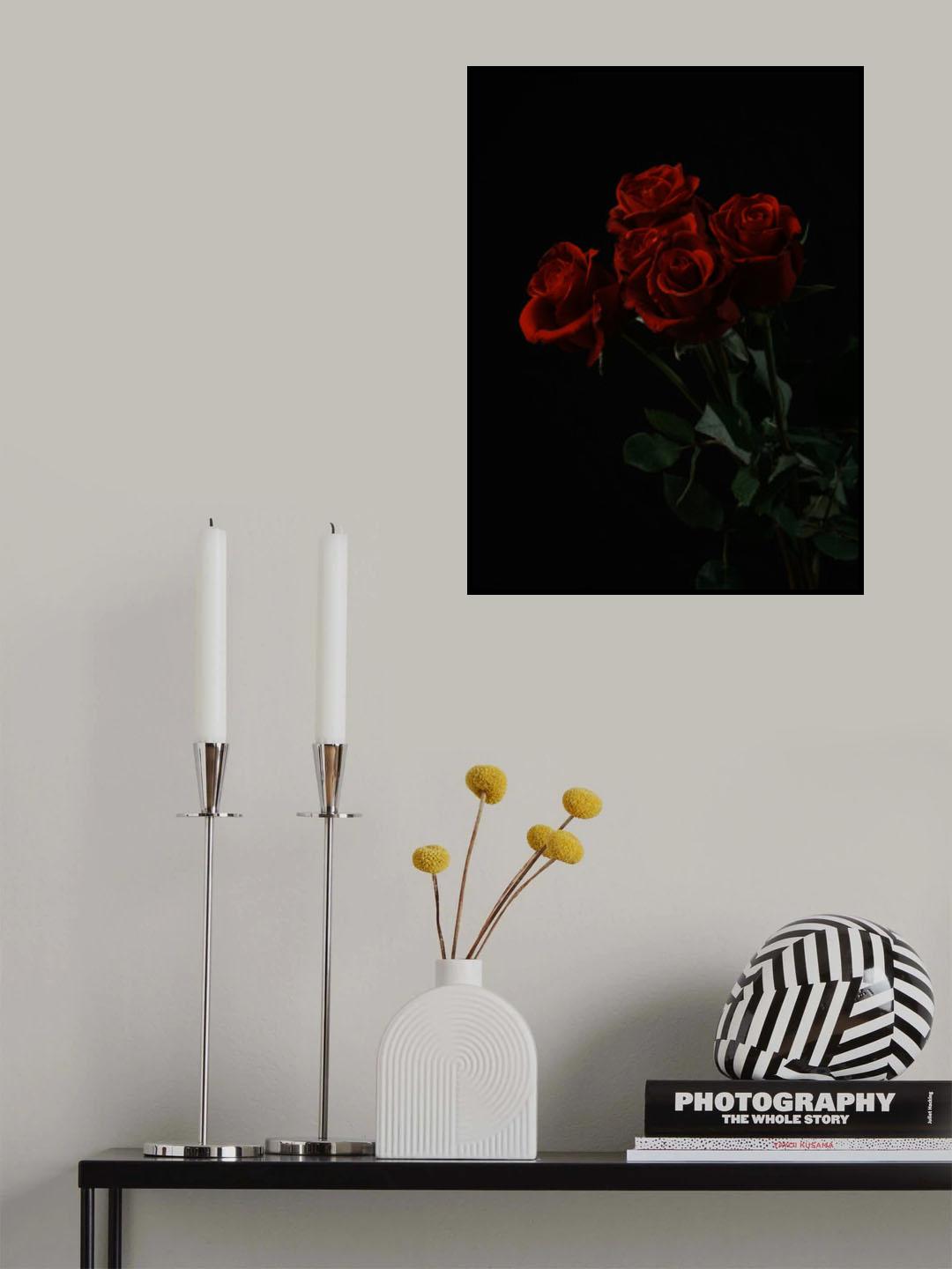red roses isolated on black background Poster och Canvastavla