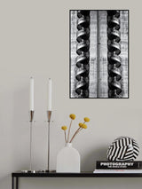 Scale Poster och Canvastavla