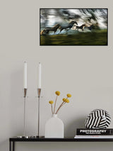 Light and shadows Poster och Canvastavla
