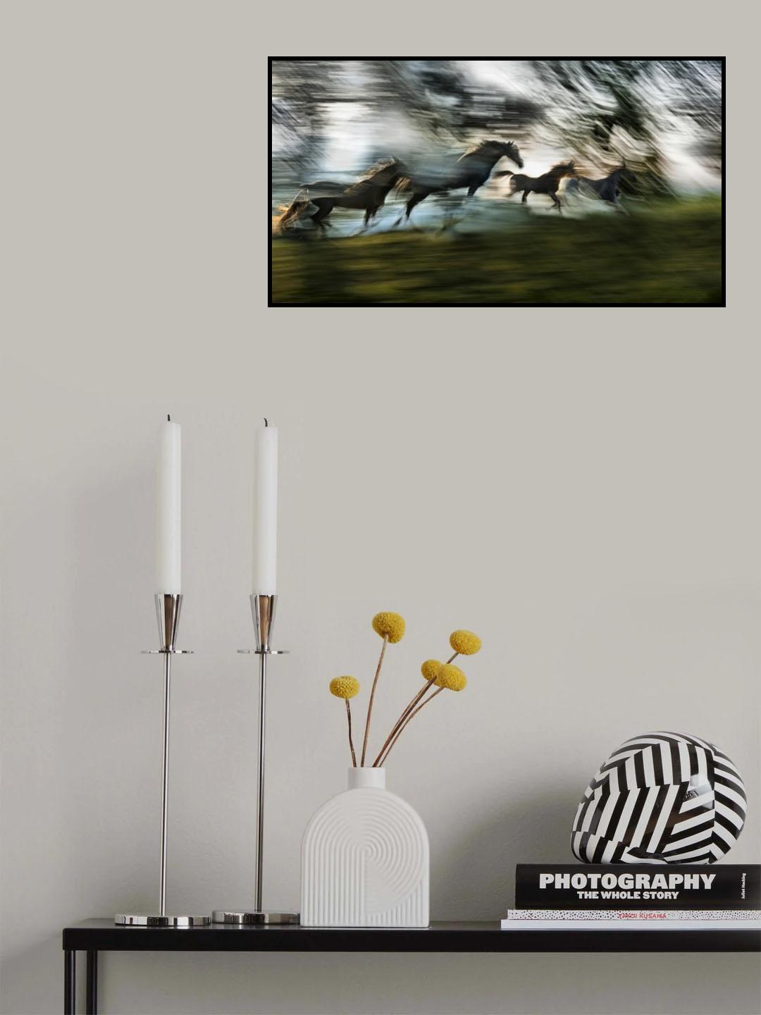 Light and shadows Poster och Canvastavla