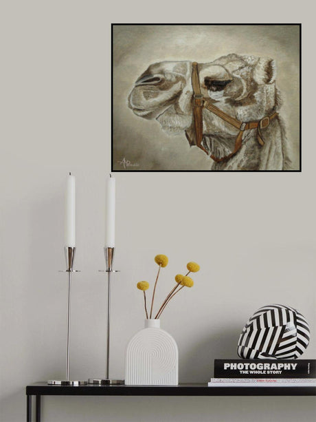 Camel Portrait Poster och Canvastavla