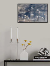 Flying ducks Poster och Canvastavla