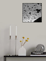 Poster och Canvastavla