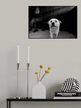Poster och Canvastavla