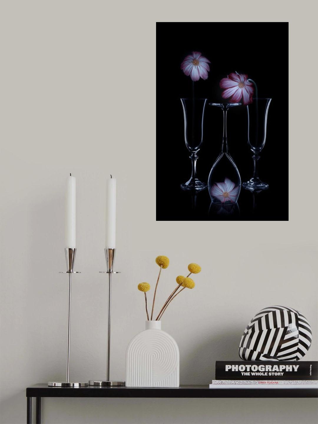 Three Cosmos Poster och Canvastavla