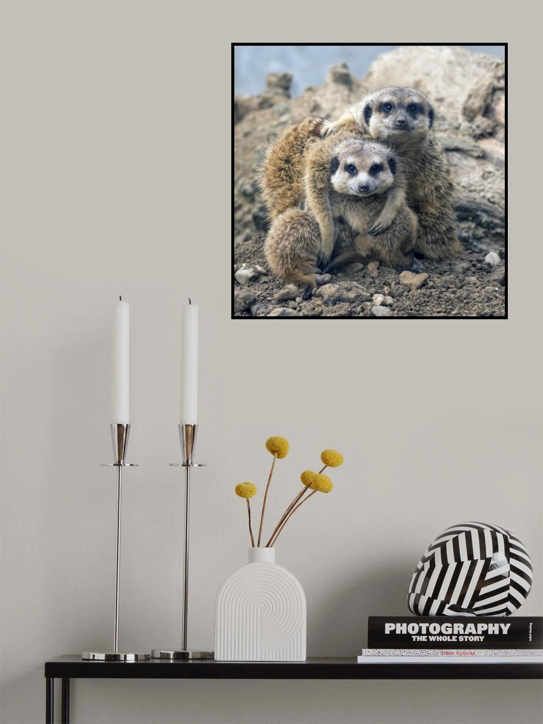 Family portrait Poster och Canvastavla