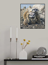 Family portrait Poster och Canvastavla