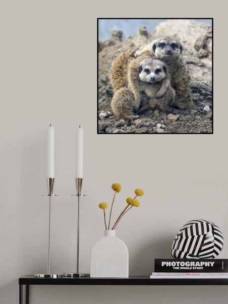 Family portrait Poster och Canvastavla