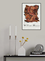 Acanthus Poster och Canvastavla