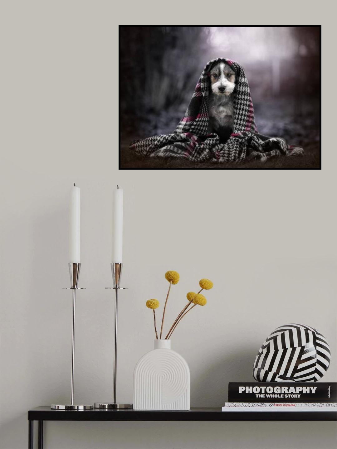 my little dog Poster och Canvastavla