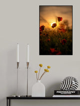 Early Summer Poster och Canvastavla