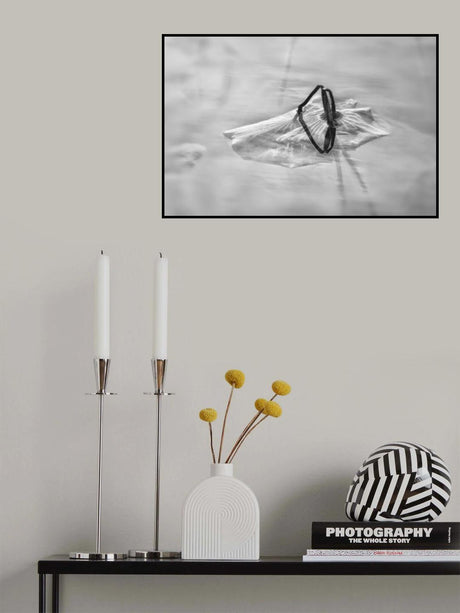Residual Lotus Poster och Canvastavla