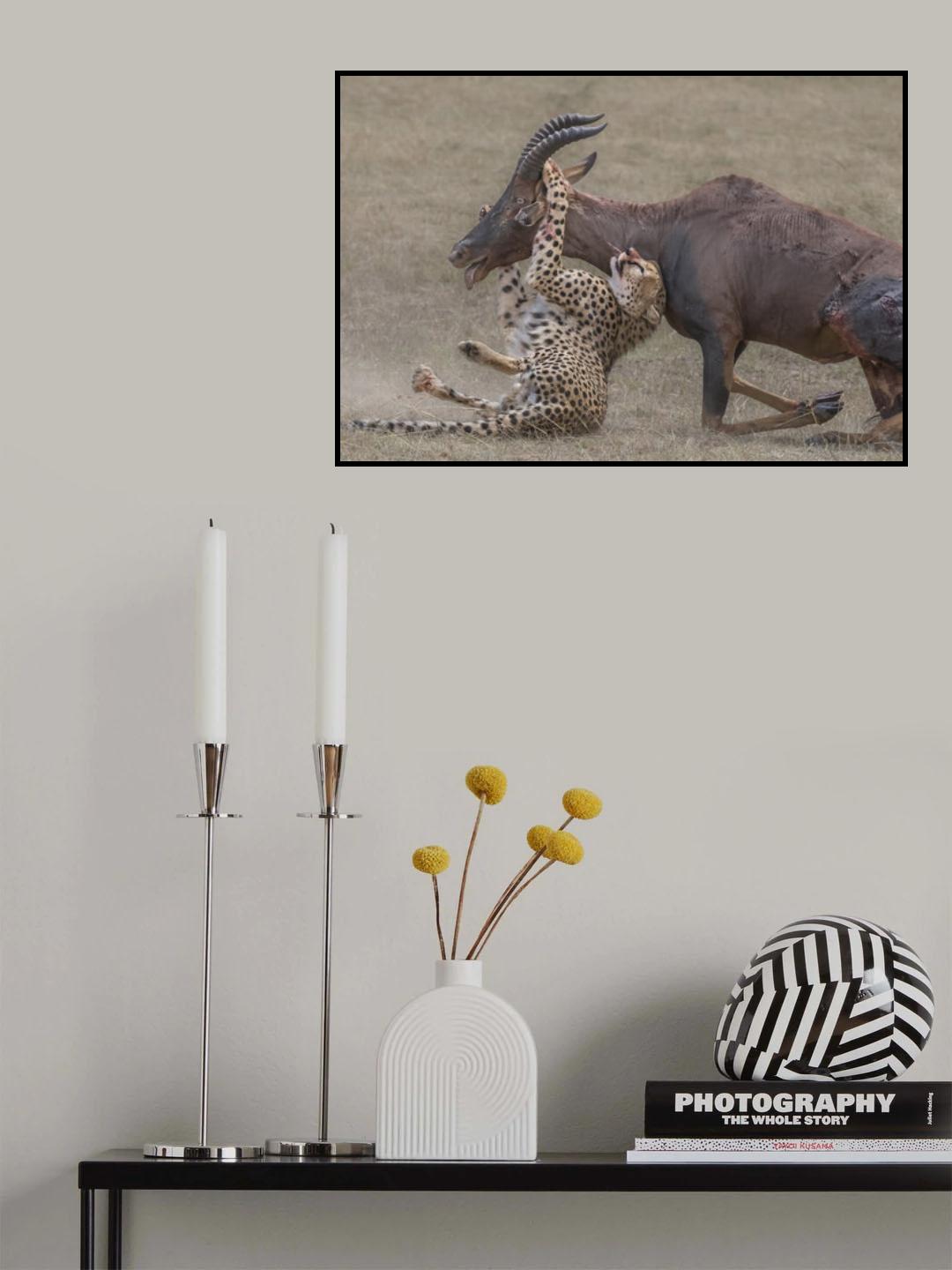 Catched, but not done yet Poster och Canvastavla