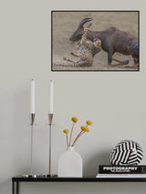 Catched, but not done yet Poster och Canvastavla