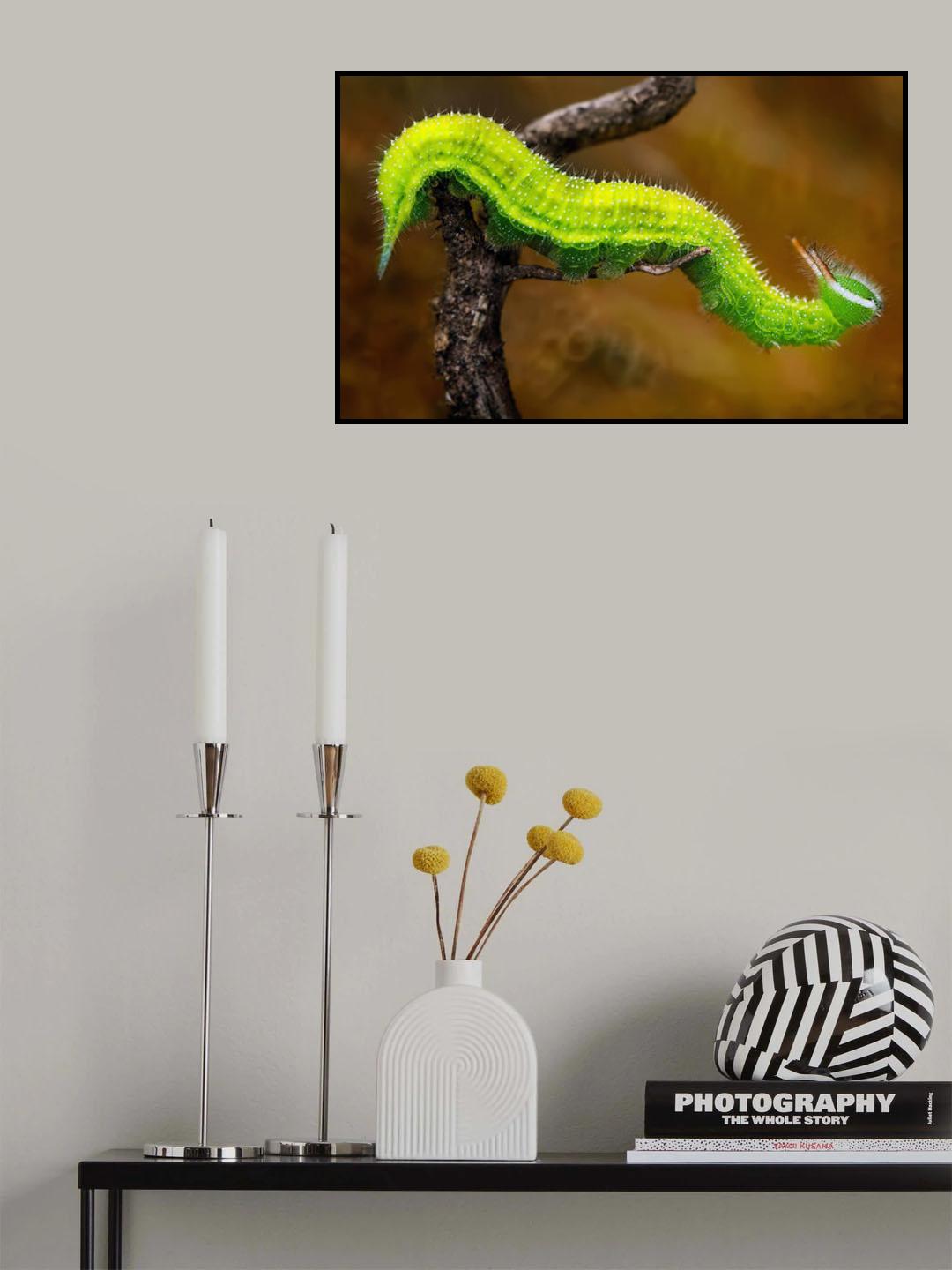 Luminous Poster och Canvastavla