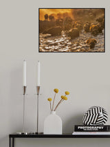Back to home Poster och Canvastavla