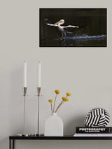In balance Poster och Canvastavla