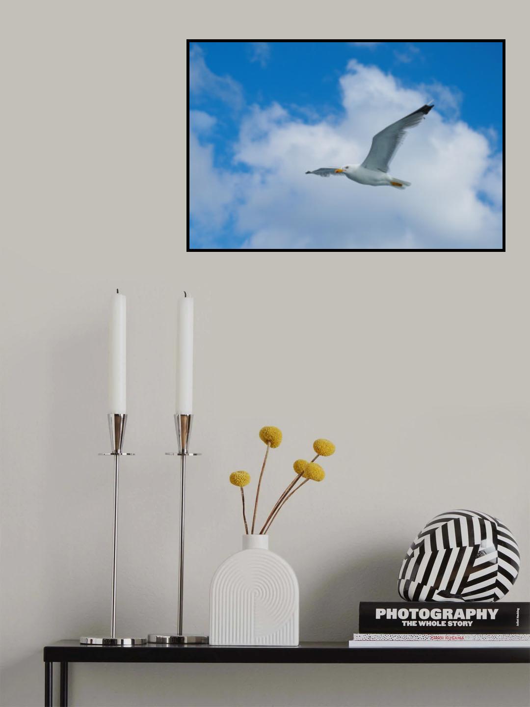 flying seagull Poster och Canvastavla