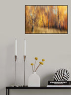 Autumn Birches Poster och Canvastavla