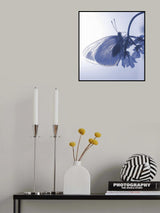 Light and shade... Poster och Canvastavla